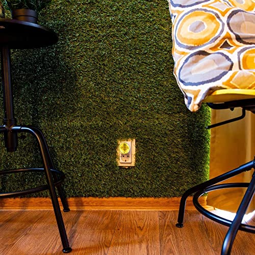 Shelly Plus Plug S, confezione doppia, presa intelligente, funziona con Alexa & Google Home, programmabile con controllo vocale, Bluetooth; dispositivo Wi-Fi per l'automazione dei dispositivi, nero