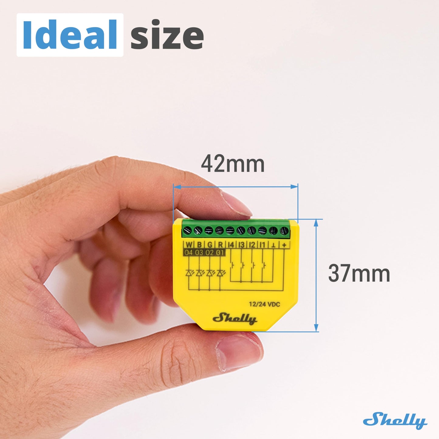 Shelly Plus RGBW PM, Modulo di controllo RGBW per strisce LED Wi-Fi & Bluetooth - 12-24 VDC, con Misuratore di consumo, Luce Bianca o Colorata Dimmerabile, Nessun Hub richiesto, App iOS Android