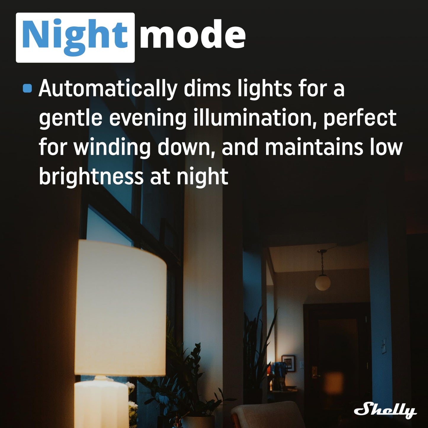 Shelly Plus RGBW PM, Modulo di controllo RGBW per strisce LED Wi-Fi & Bluetooth - 12-24 VDC, con Misuratore di consumo, Luce Bianca o Colorata Dimmerabile, Nessun Hub richiesto, App iOS Android
