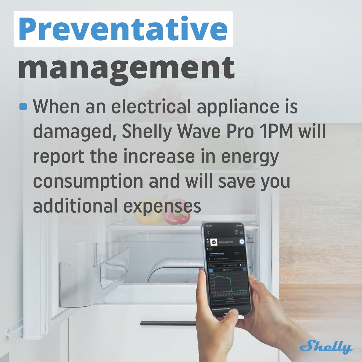 Shelly Wave Pro 2, Interruttore Intelligente Z-Wave Professionale, Contatti Puliti, 2 Canali, 25 A, Montaggio su Guida DIN, Controllo a 2 Fasi, Ripetitore di Rete Esteso, Alta Affidabilità