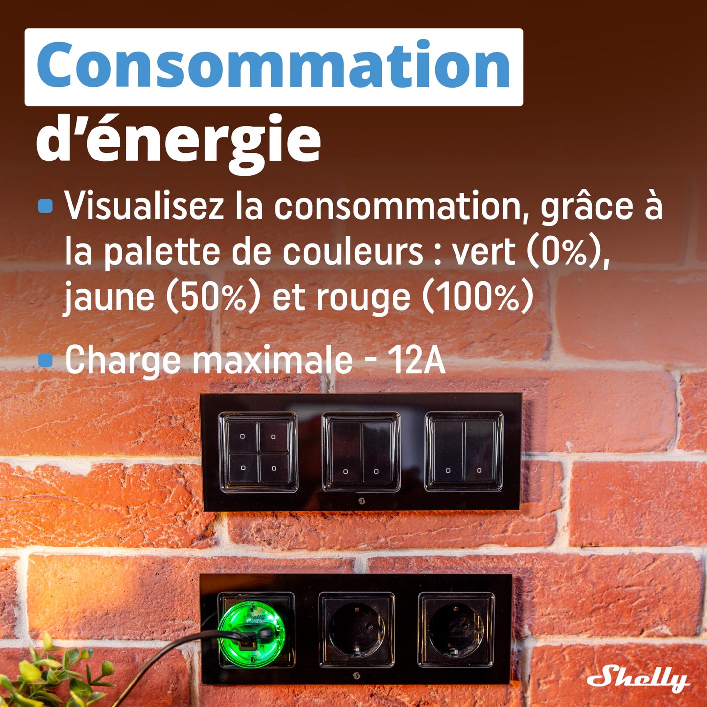 Shelly Plus Plug S - Nero, Presa intelligente programmabile, Misurazione dell'energia elettrica, Indicateur LED, Compatible con Alexa e Google Home, App iOS Android