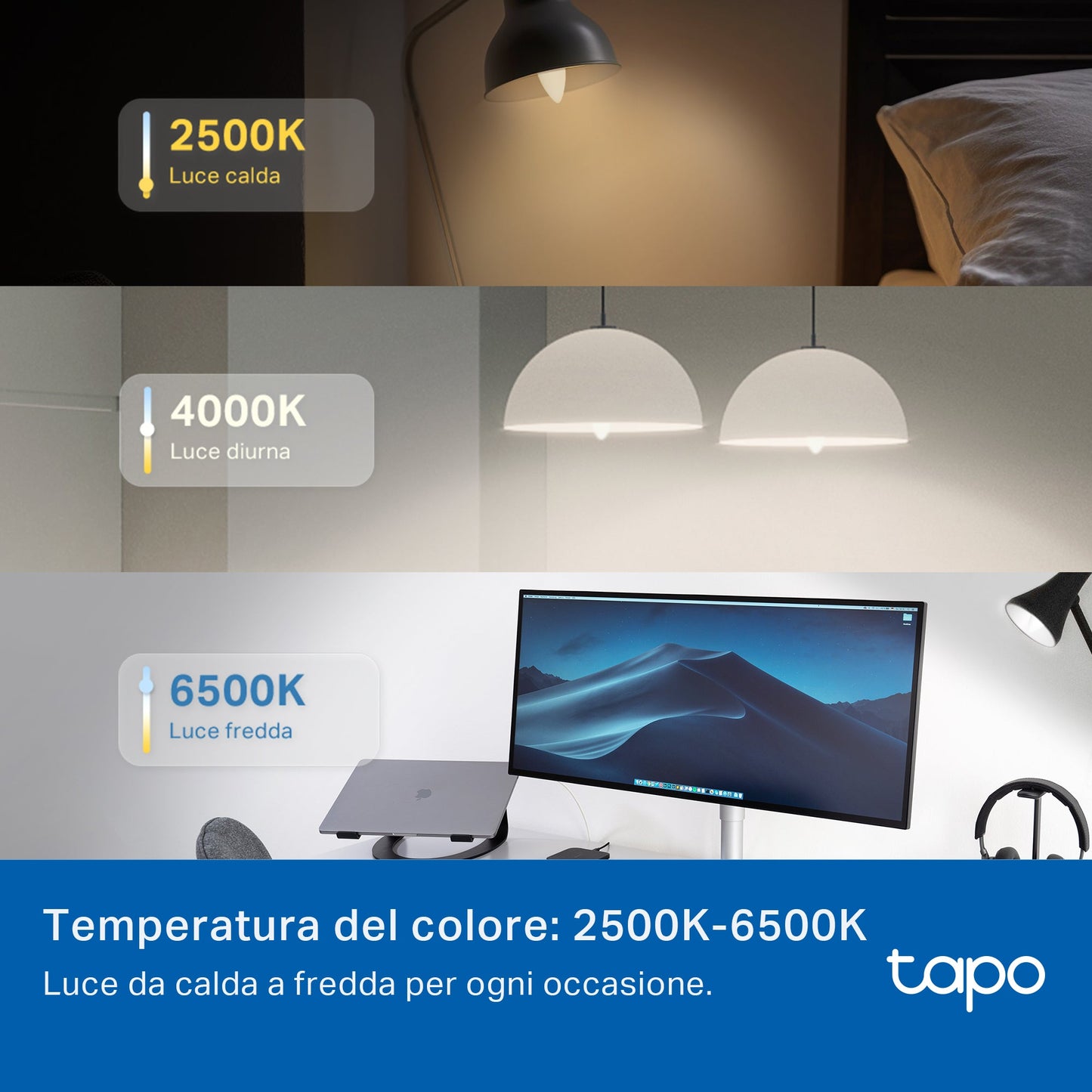 Tapo L430C Lampadina LED Smart Wi-Fi Multicolore E14, Controllo Vocale con Alexa, 2pz