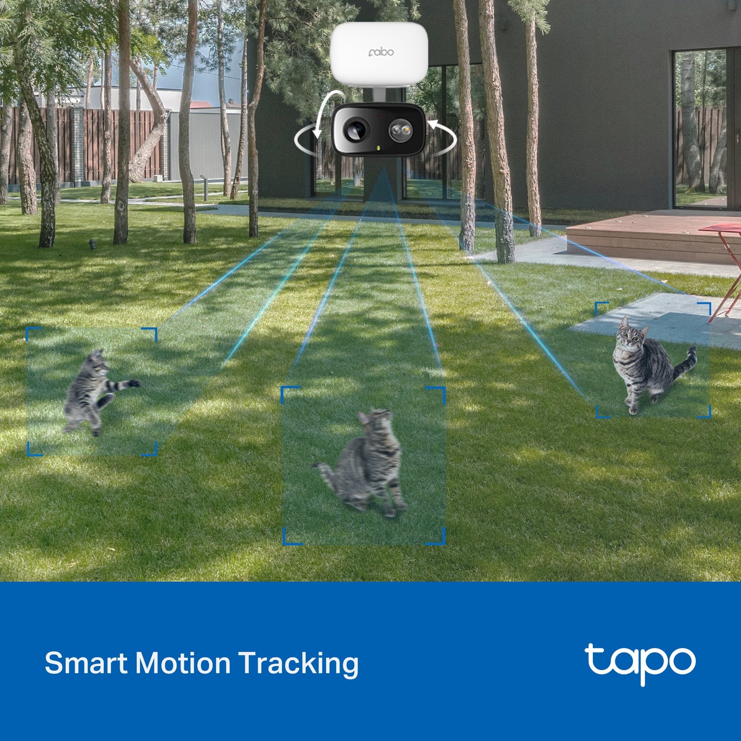 Tapo C206 Telecamera Wi-Fi Esterno/Interno 1080P FHD, 360° Visuale, Visione Notturna a Colori, ⚠️Non a batteria