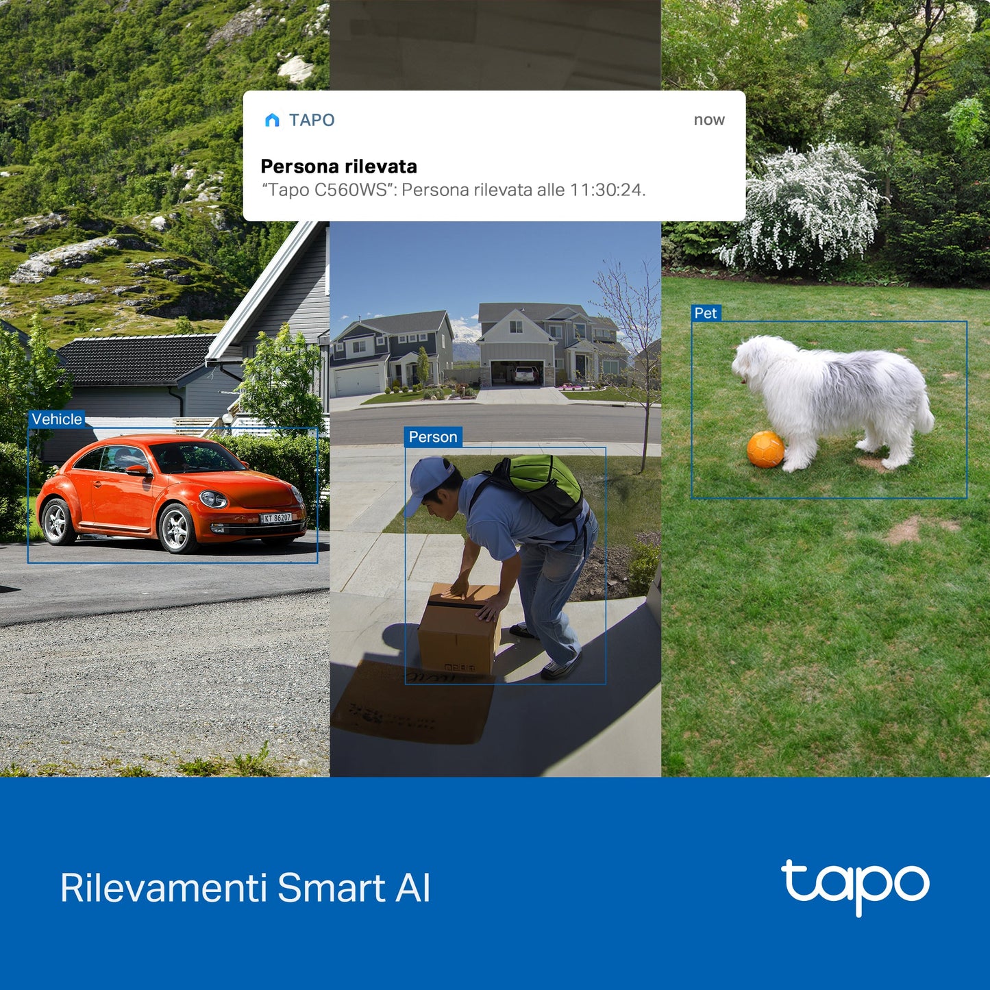 Tapo C560WS Telecamera Wi-Fi Esterno 4K 8MP, 360° Visuale, Visione Notturna a Colori Starlight, Wi-Fi/Ethernet, ⚠️Non a batteria