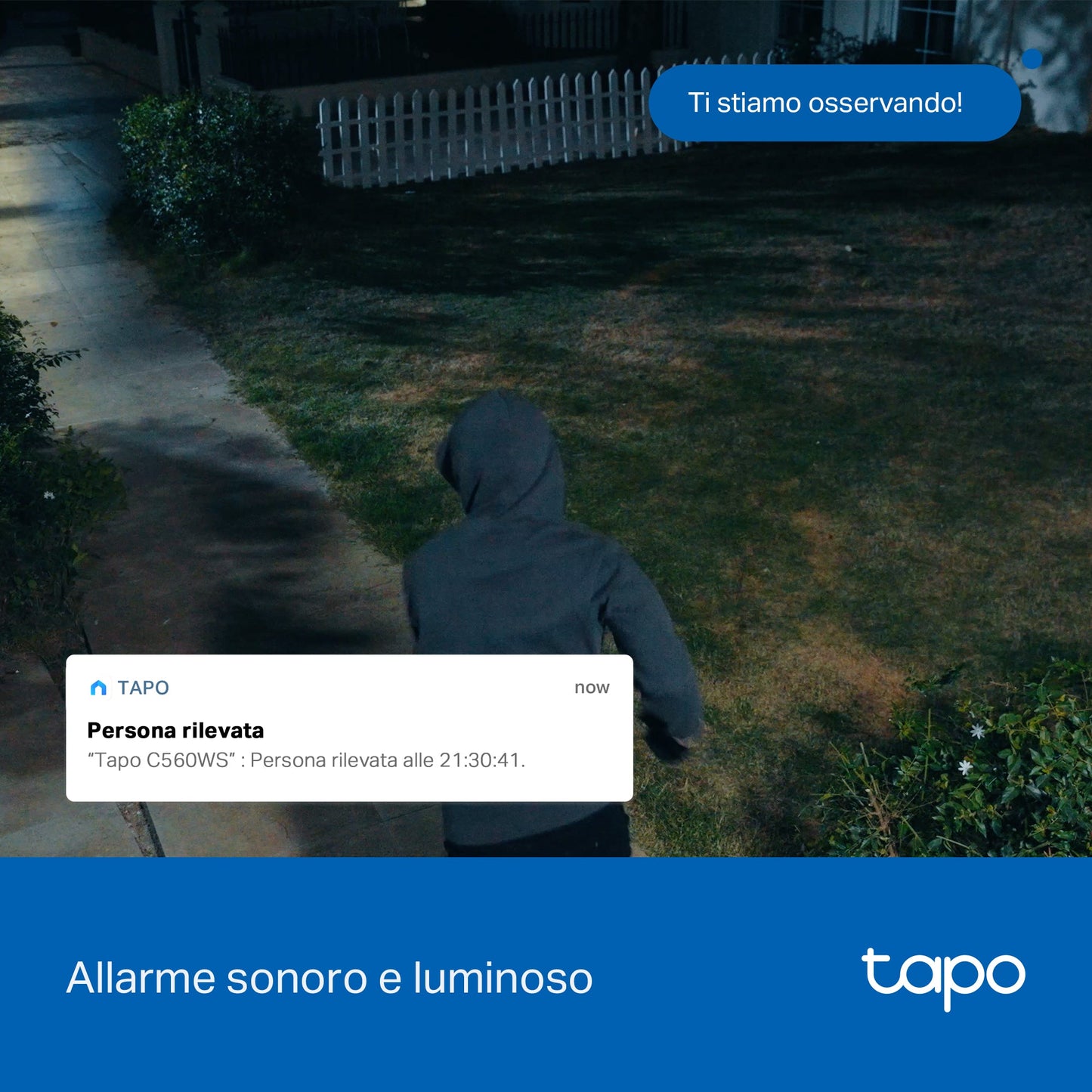 Tapo C560WS Telecamera Wi-Fi Esterno 4K 8MP, 360° Visuale, Visione Notturna a Colori Starlight, Wi-Fi/Ethernet, 2pz, ⚠️Non a batteria