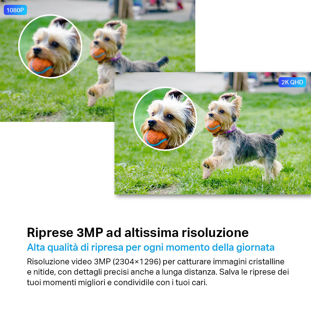 Tapo C310 Telecamera Wi-Fi Esterno 2K 3MP, Visione Notturna, Wi-Fi/Ethernet, ⚠️Non a batteria