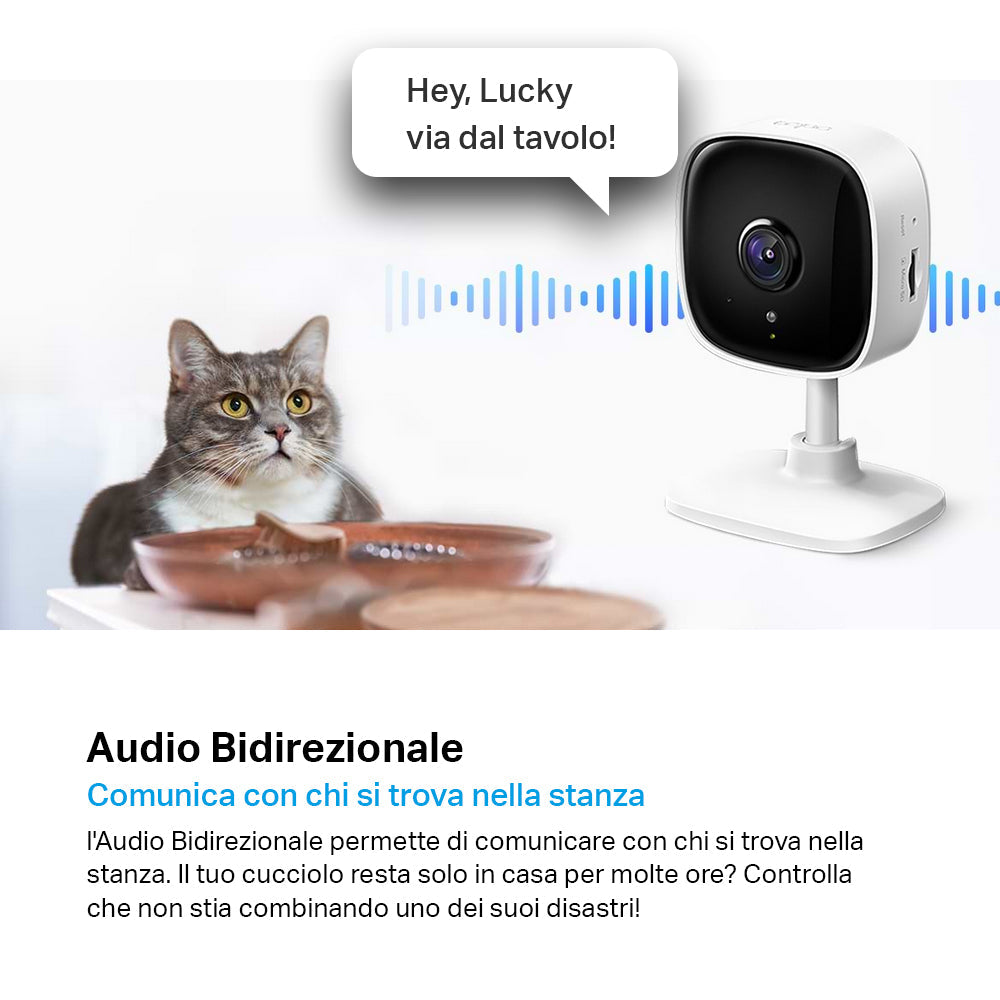Tapo C100 Telecamera Wi-Fi Interno 1080P FHD