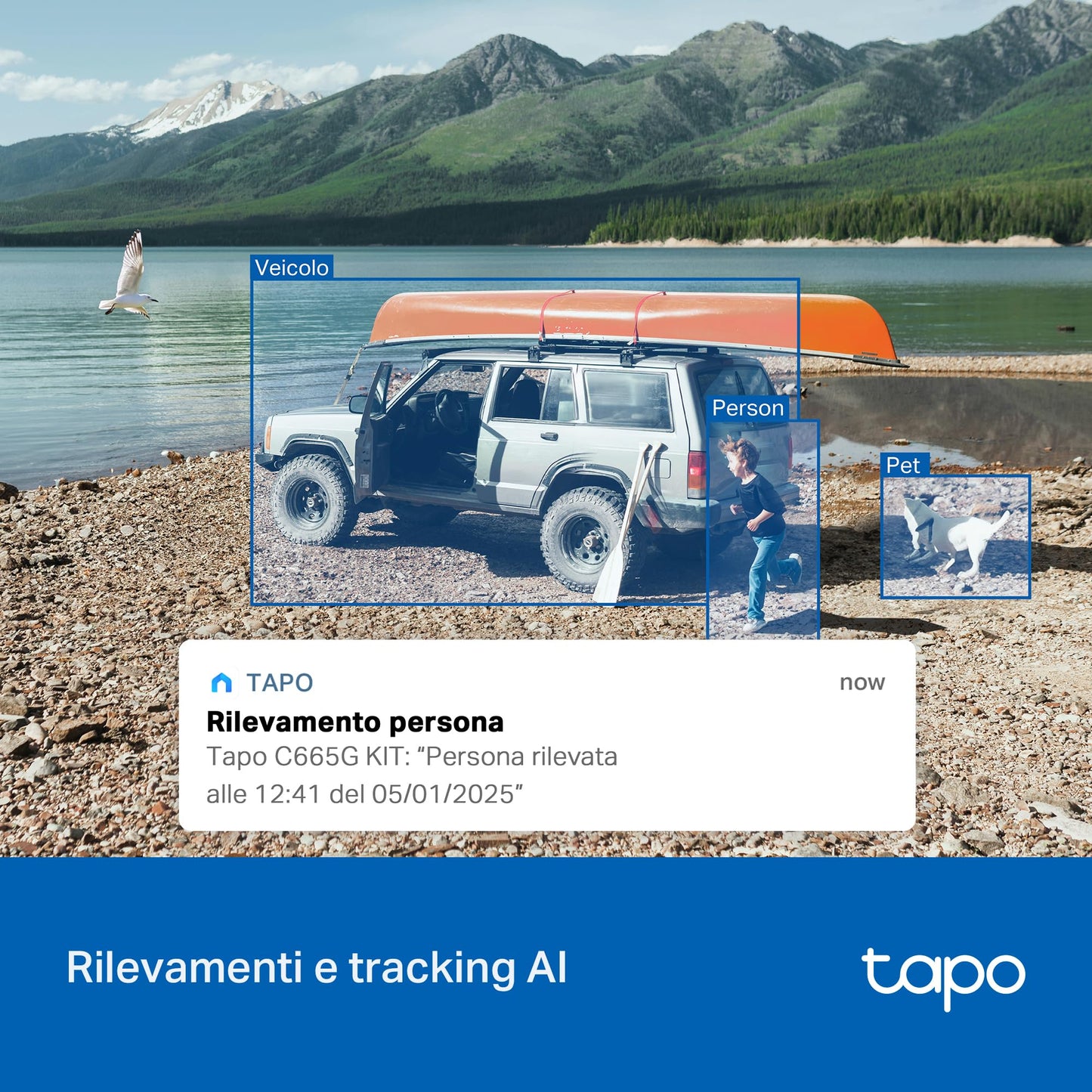 Tapo C665G KIT Telecamera 4G LTE da Esterno 4K 8MP con Pannello Solare, Pan/Tilt, Visione Notturna a Colori, Rilevamento AI, Registrazione 24/7